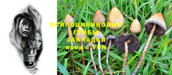 синтетический гашиш Ладушкин