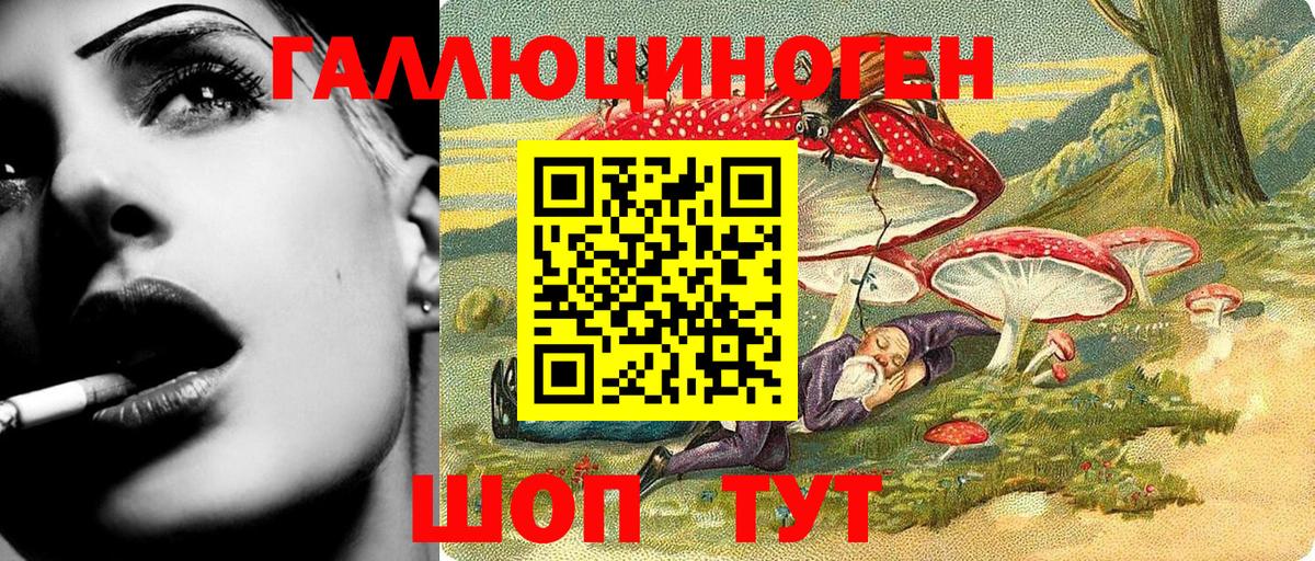 Галлюциногенные грибы Psilocybine cubensis  Вход с VPN  Дмитров  Псилоцибиновые грибы мухоморы 