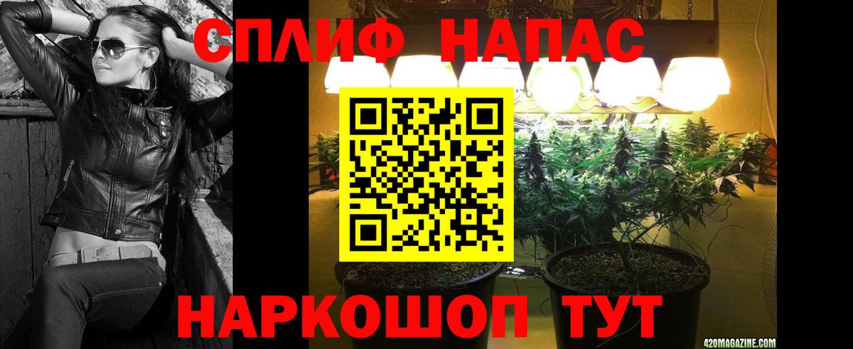 Дмитров  Конопля Amnesia  Вход с VPN  Шишки марихуана индика 