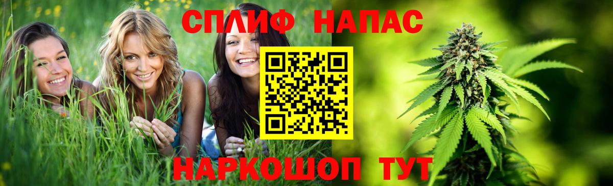 Конопля OG Kush Дмитров